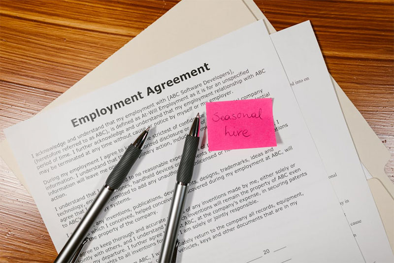 茂迪人力-专业人力服务